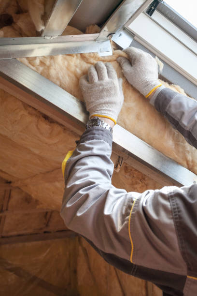 Best Affordable Insulation Services  in Damascus, MD